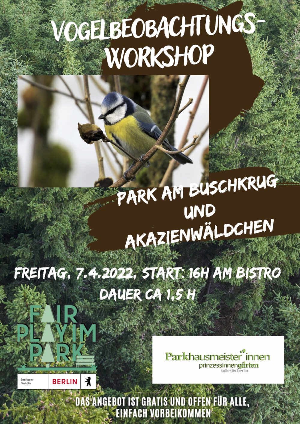 You are currently viewing  Vogelbeobachtungs - Workshop