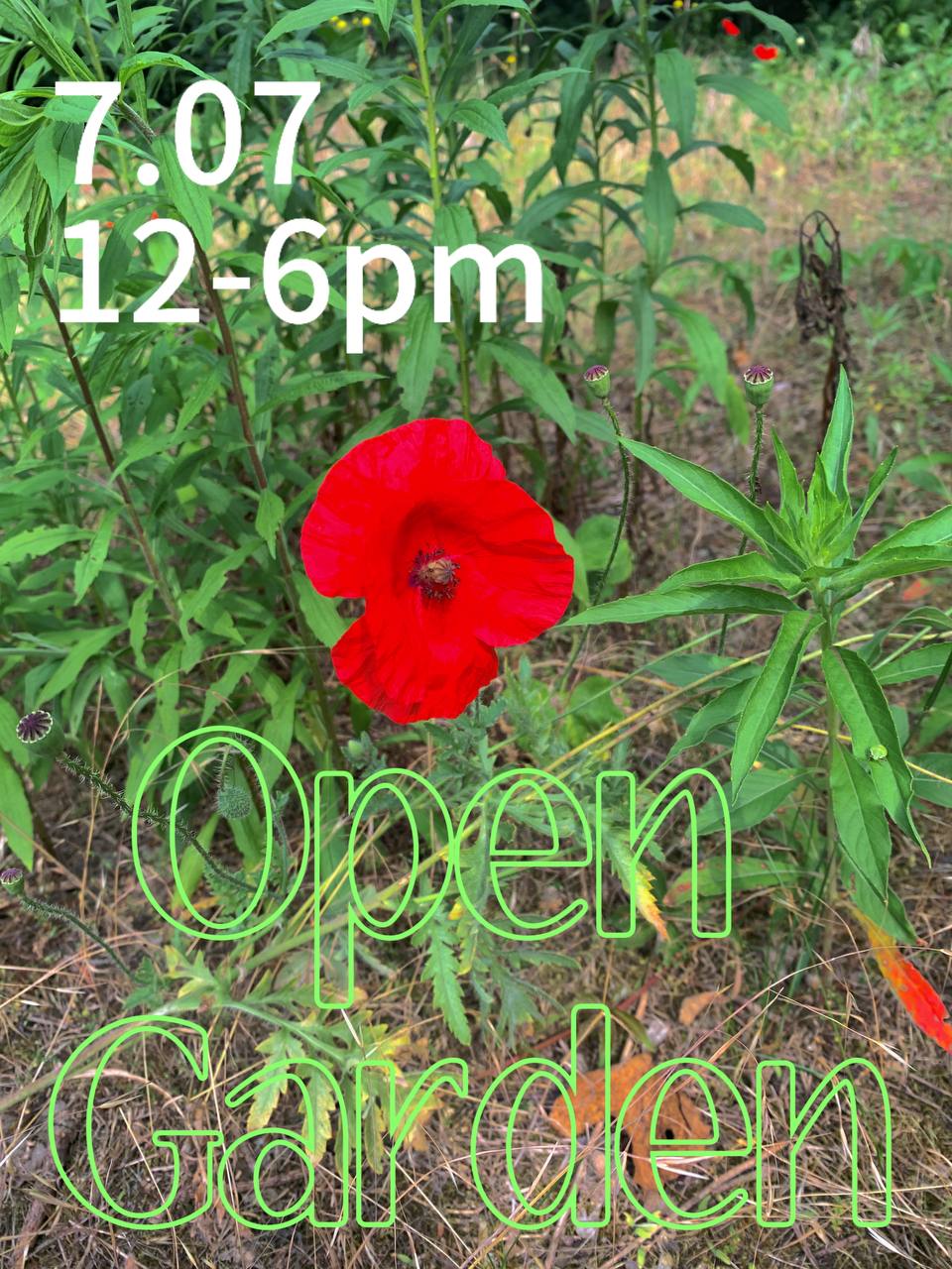 You are currently viewing  Tag der Open Garden