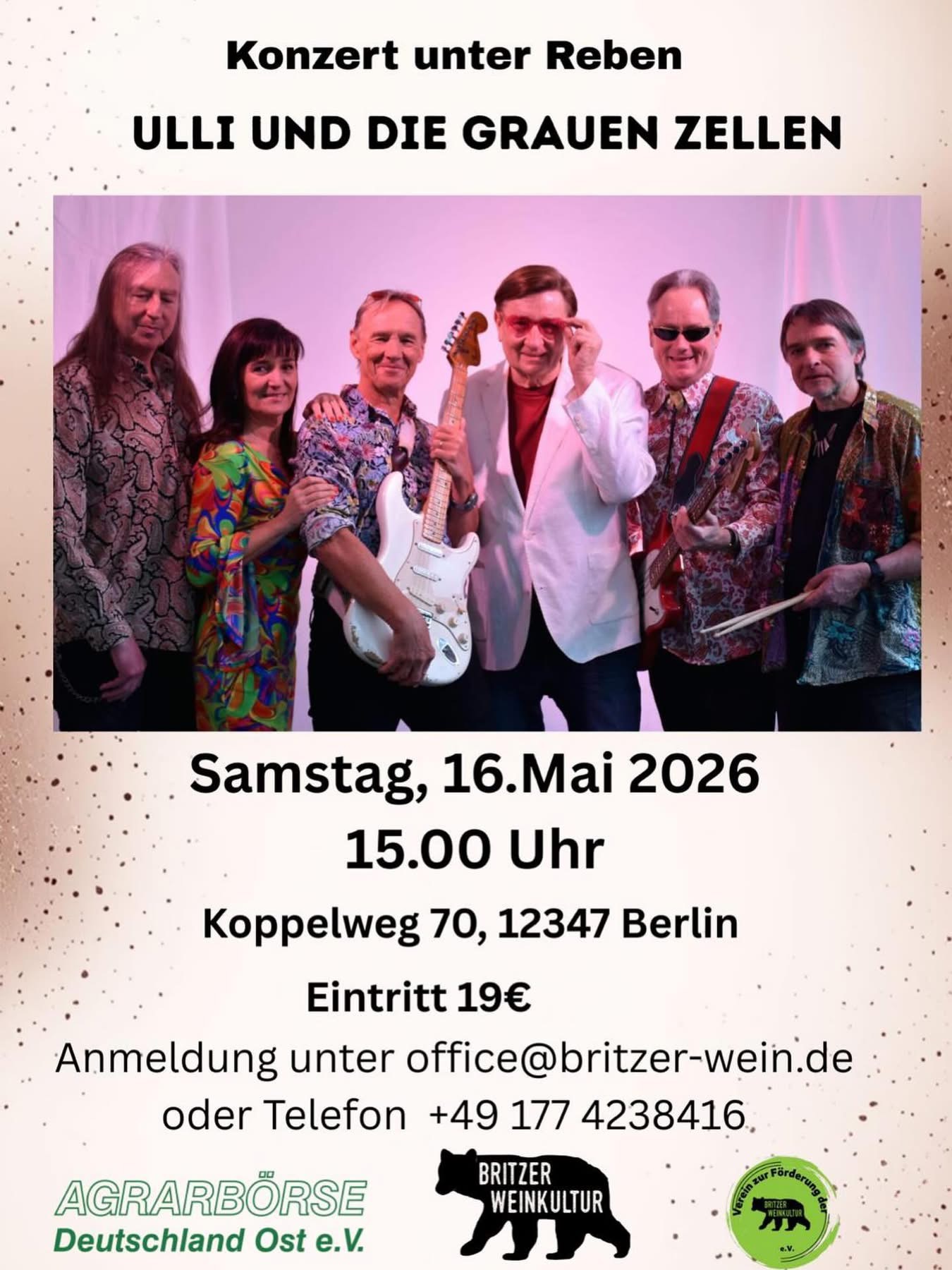 You are currently viewing  Konzert unter Reben: Ulli und die grauen Zellen